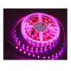 ӦLEDƴ LEDص LED컨 LED