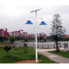 ֱ80W LEDͥԺͷ