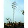 35kvֱ߸ˣ35kvֱ߸ˣнָ˳