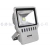 ڼоƬ70W LEDͶơ Ƶ 