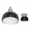 100W LED ڼоƬ ƹõ