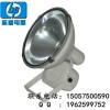 ZT6901-L1000ZT6901ˮͶ