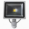 LEDӦLEDͶ10W ӦƳֱ