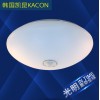  4WӦƳ LED Լ