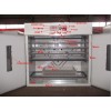   www.fuminfuhua.cn