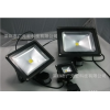 ӦͶ ledͶ led  10w