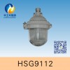 HSG9112 / NFC9112 ѣ