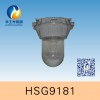 HSG9181 / NFC9181ͨ