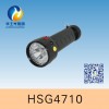 HSG4710 / MSL4710๦źŵ