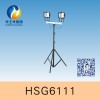 HSG6111 / SFD3000BЯʽҵ