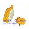 ZL8900⹤ZL8900ѹAC220V)
